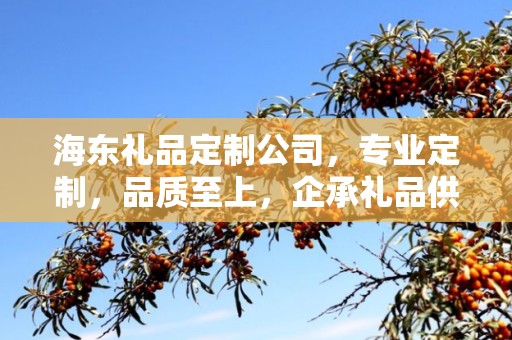 海东礼品定制公司，专业定制，品质至上，企承礼品供应链卓越服务
