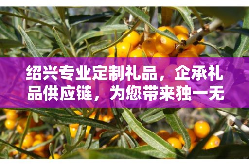 绍兴专业定制礼品，企承礼品供应链，为您带来独一无二的礼品体验