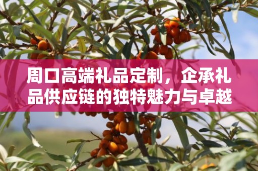 周口高端礼品定制，企承礼品供应链的独特魅力与卓越服务