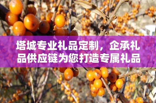 塔城专业礼品定制，企承礼品供应链为您打造专属礼品