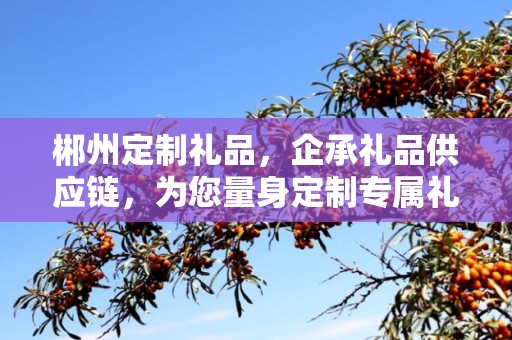 郴州定制礼品，企承礼品供应链，为您量身定制专属礼品